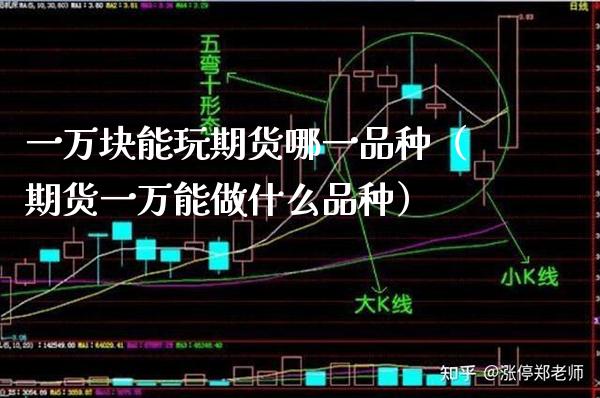 一万块能玩期货哪一品种（期货一万能做什么品种）_https://www.xmqjcw.com_期货直播室_第1张