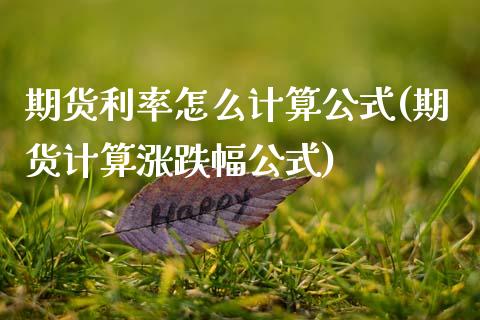 期货利率怎么计算公式(期货计算涨跌幅公式)_https://www.xmqjcw.com_期货百科_第1张