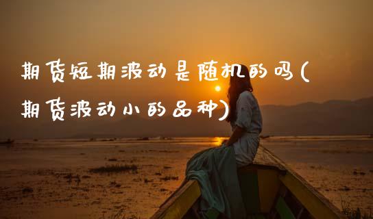 期货短期波动是随机的吗(期货波动小的品种)_https://www.xmqjcw.com_期货百科_第1张