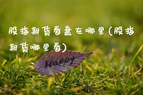 股指期货看盘在哪里(股指期货哪里看)_https://www.xmqjcw.com_期货百科_第1张