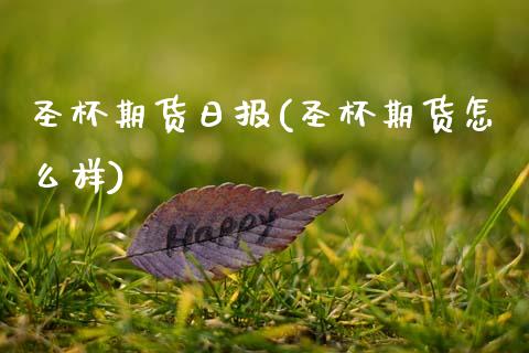 圣杯期货日报(圣杯期货怎么样)_https://www.xmqjcw.com_期货投资_第1张