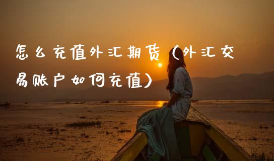 怎么充值外汇期货（外汇交易账户如何充值）_https://www.xmqjcw.com_期货投资_第1张