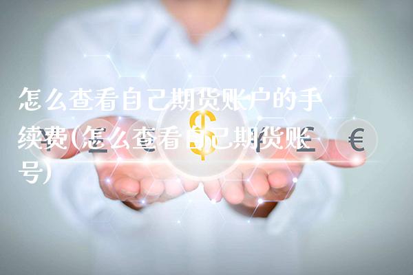 怎么查看自己期货账户的手续费(怎么查看自己期货账号)_https://www.xmqjcw.com_股票投资_第1张