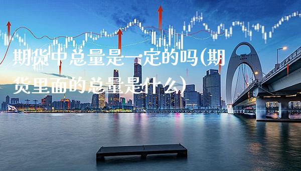 期货中总量是一定的吗(期货里面的总量是什么)_https://www.xmqjcw.com_期货投资_第1张