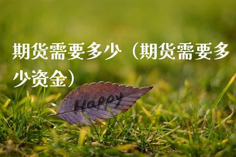 期货需要多少（期货需要多少资金）_https://www.xmqjcw.com_期货投资_第1张