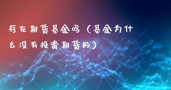 存在期货基金吗（基金为什么没有投资期货的）_https://www.xmqjcw.com_期货投资_第1张