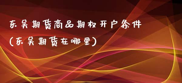 东吴期货商品期权开户条件(东吴期货在哪里)_https://www.xmqjcw.com_期货百科_第1张