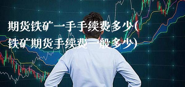 期货铁矿一手手续费多少(铁矿期货手续费一般多少)_https://www.xmqjcw.com_期货行情_第1张
