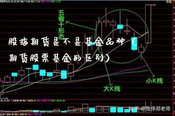 股指期货是不是基金品种（期货股票基金的区别）_https://www.xmqjcw.com_期货投资_第1张