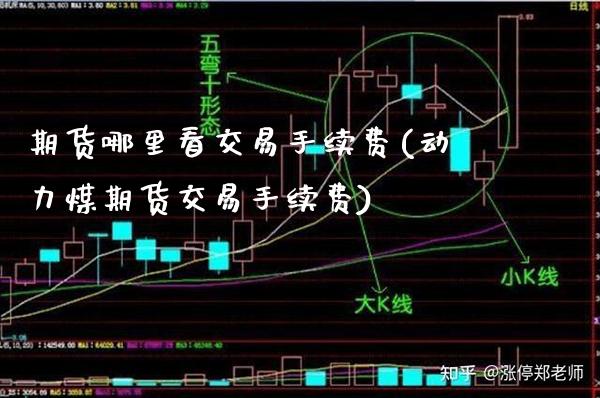 期货哪里看交易手续费(动力煤期货交易手续费)_https://www.xmqjcw.com_期货百科_第1张