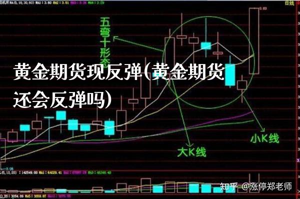 黄金期货现反弹(黄金期货还会反弹吗)_https://www.xmqjcw.com_期货百科_第1张