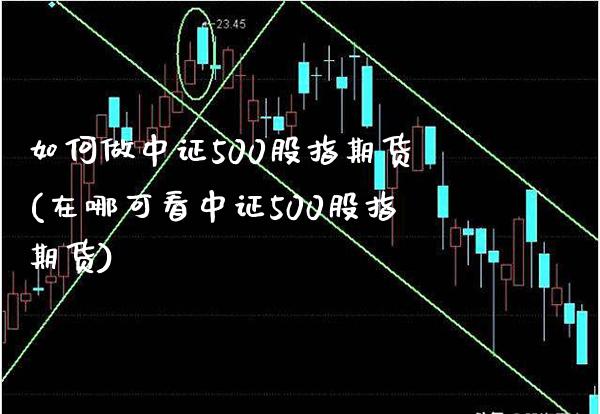 如何做中证500股指期货(在哪可看中证500股指期货)_https://www.xmqjcw.com_期货百科_第1张