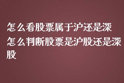怎么看股票属于沪还是深 怎么判断股票是沪股还是深股_https://www.xmqjcw.com_股票投资_第1张