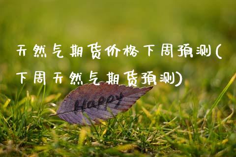 天然气期货价格下周预测(下周天然气期货预测)_https://www.xmqjcw.com_期货投资_第1张