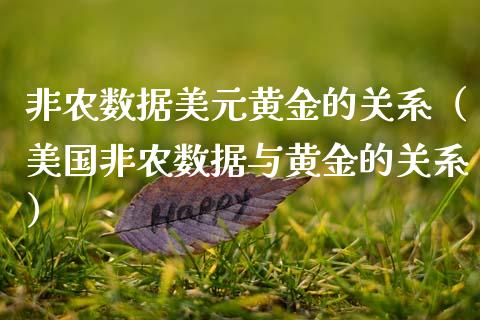 非农数据美元黄金的关系（美国非农数据与黄金的关系）_https://www.xmqjcw.com_期货投资_第1张
