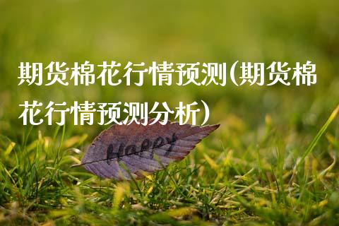 期货棉花行情预测(期货棉花行情预测分析)_https://www.xmqjcw.com_期货直播室_第1张