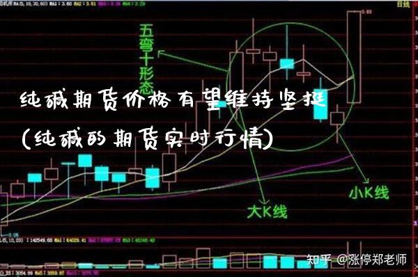 纯碱期货价格有望维持坚挺(纯碱的期货实时行情)_https://www.xmqjcw.com_股票投资_第1张