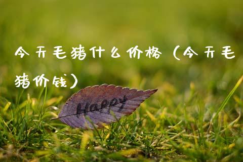 今天毛猪什么价格（今天毛猪价钱）_https://www.xmqjcw.com_期货投资_第1张