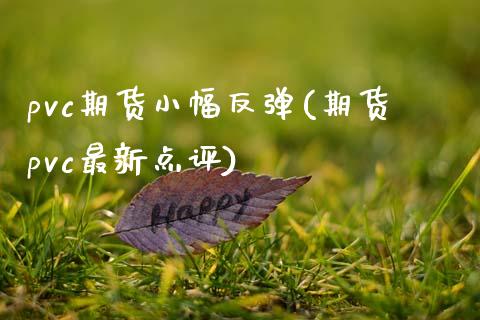 pvc期货小幅反弹(期货pvc最新点评)_https://www.xmqjcw.com_期货百科_第1张