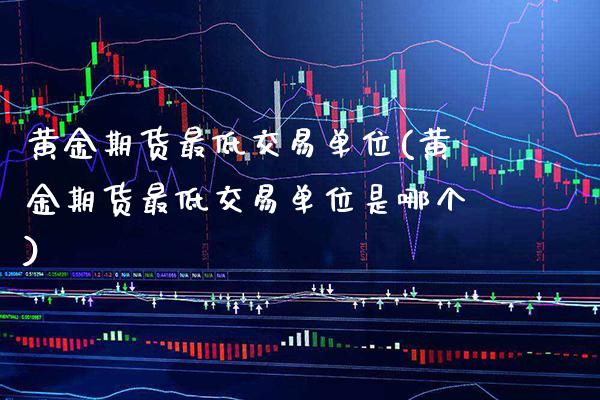 黄金期货最低交易单位(黄金期货最低交易单位是哪个)_https://www.xmqjcw.com_期货投资_第1张