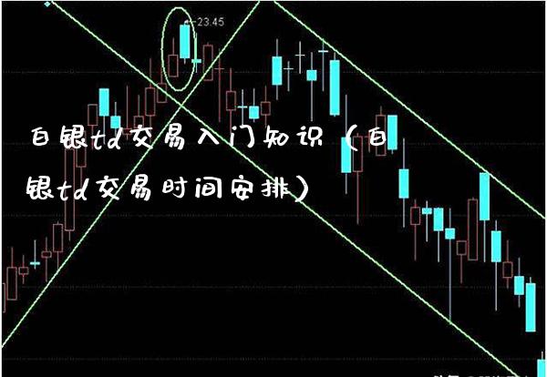白银td交易入门知识（白银td交易时间安排）_https://www.xmqjcw.com_期货投资_第1张
