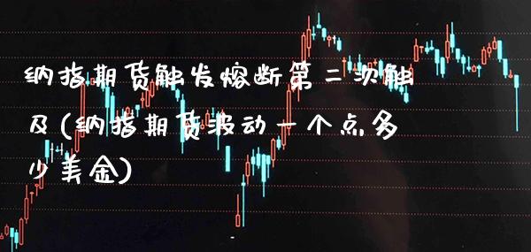 纳指期货触发熔断第二次触及(纳指期货波动一个点多少美金)_https://www.xmqjcw.com_期货投资_第1张