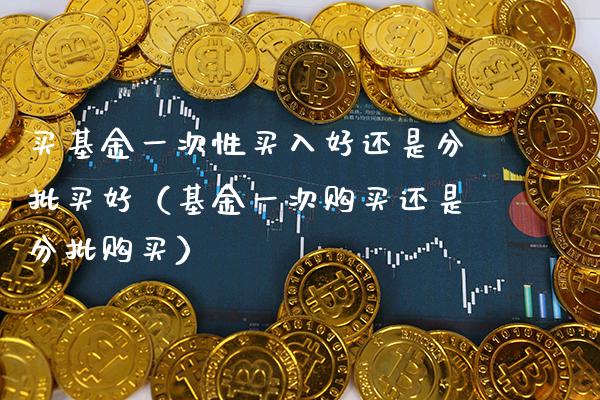 买基金一次性买入好还是分批买好（基金一次购买还是分批购买）_https://www.xmqjcw.com_基金理财_第1张