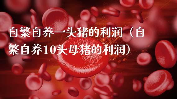 自繁自养一头猪的利润（自繁自养10头母猪的利润）_https://www.xmqjcw.com_期货投资_第1张