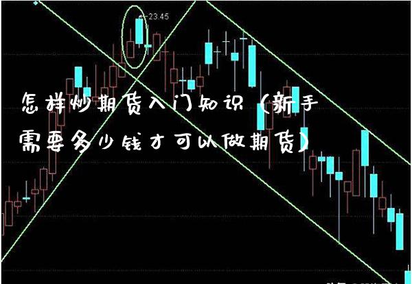 怎样炒期货入门知识（新手需要多少钱才可以做期货）_https://www.xmqjcw.com_期货直播室_第1张