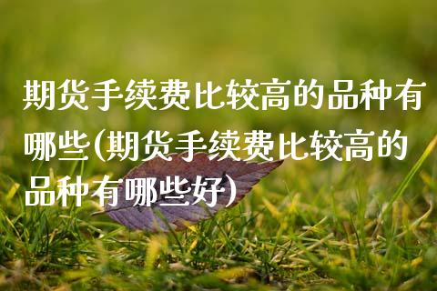 期货手续费比较高的品种有哪些(期货手续费比较高的品种有哪些好)_https://www.xmqjcw.com_期货行情_第1张