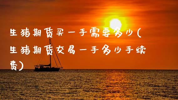 生猪期货买一手需要多少(生猪期货交易一手多少手续费)_https://www.xmqjcw.com_期货百科_第1张