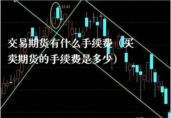 交易期货有什么手续费（买卖期货的手续费是多少）_https://www.xmqjcw.com_期货投资_第1张