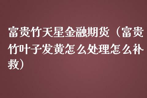 富贵竹天星金融期货（富贵竹叶子发黄怎么处理怎么补救）_https://www.xmqjcw.com_期货投资_第1张