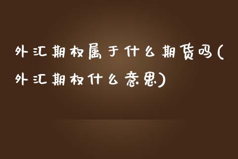 外汇期权属于什么期货吗(外汇期权什么意思)_https://www.xmqjcw.com_期货百科_第1张