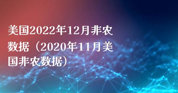 美国2022年12月非农数据（2020年11月美国非农数据）_https://www.xmqjcw.com_期货投资_第1张