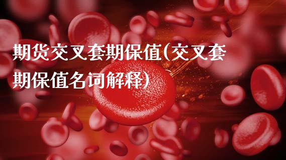 期货交叉套期保值(交叉套期保值名词解释)_https://www.xmqjcw.com_期货百科_第1张
