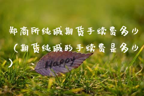郑商所纯碱期货手续费多少（期货纯碱的手续费是多少）_https://www.xmqjcw.com_期货直播室_第1张
