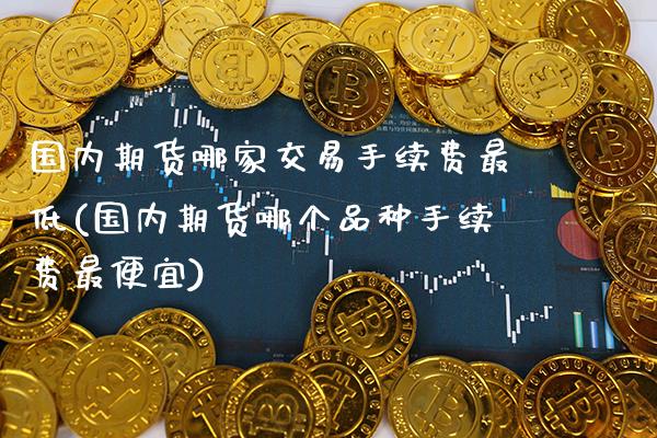 国内期货哪家交易手续费最低(国内期货哪个品种手续费最便宜)_https://www.xmqjcw.com_期货百科_第1张