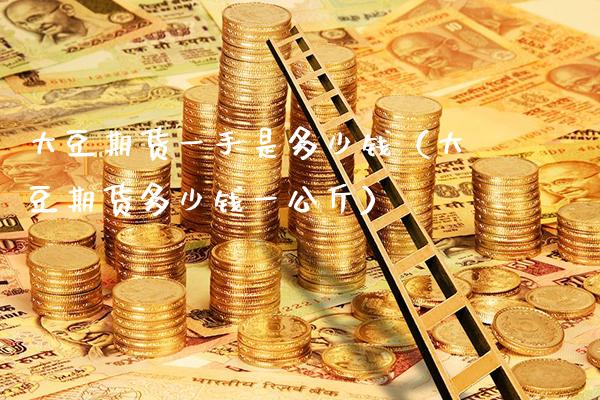 大豆期货一手是多少钱（大豆期货多少钱一公斤）_https://www.xmqjcw.com_期货投资_第1张