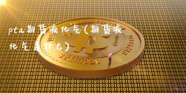 pta期货液化气(期货液化气是什么)_https://www.xmqjcw.com_期货百科_第1张