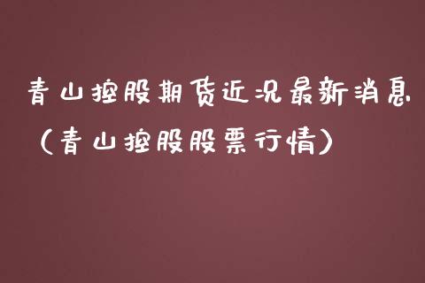 青山控股期货近况最新消息（青山控股股票行情）_https://www.xmqjcw.com_期货投资_第1张