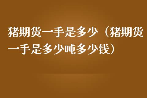 猪期货一手是多少（猪期货一手是多少吨多少钱）_https://www.xmqjcw.com_期货直播室_第1张