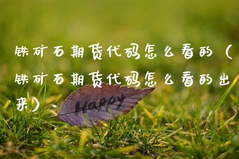 铁矿石期货代码怎么看的（铁矿石期货代码怎么看的出来）_https://www.xmqjcw.com_期货行情_第1张