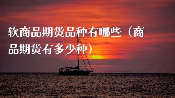 软商品期货品种有哪些（商品期货有多少种）_https://www.xmqjcw.com_期货直播室_第1张