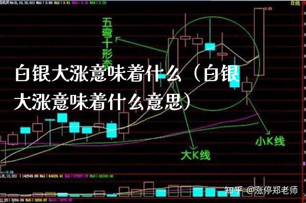 白银大涨意味着什么（白银大涨意味着什么意思）_https://www.xmqjcw.com_期货投资_第1张