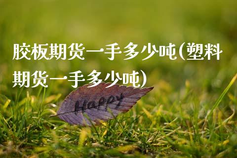胶板期货一手多少吨(塑料期货一手多少吨)_https://www.xmqjcw.com_期货行情_第1张