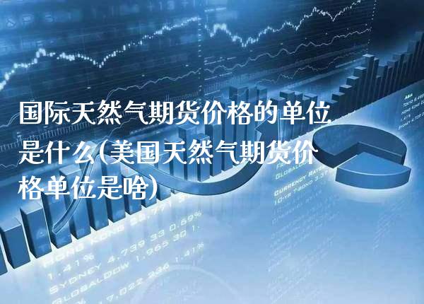 国际天然气期货价格的单位是什么(美国天然气期货价格单位是啥)_https://www.xmqjcw.com_股票投资_第1张