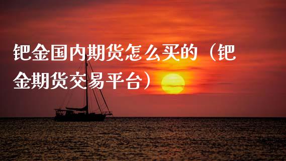 钯金国内期货怎么买的（钯金期货交易平台）_https://www.xmqjcw.com_期货投资_第1张