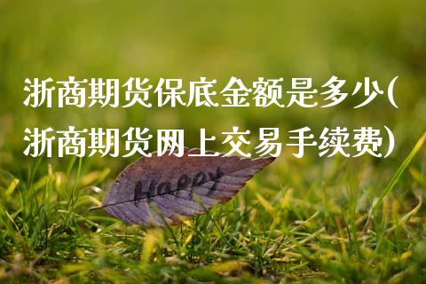 浙商期货保底金额是多少(浙商期货网上交易手续费)_https://www.xmqjcw.com_期货直播室_第1张