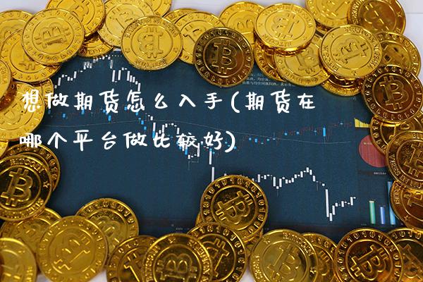 想做期货怎么入手(期货在哪个平台做比较好)_https://www.xmqjcw.com_期货行情_第1张